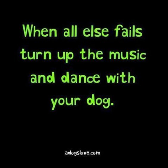 70 Motivational Quotes About Life And Happiness Sayings 29