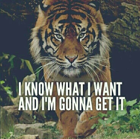 70 Motivational Quotes About Life And Happiness Sayings 35