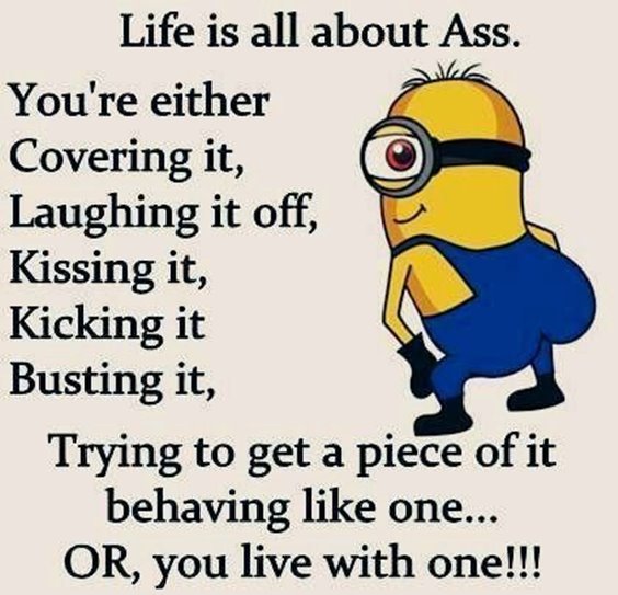 86 Funny Quotes Minions And Minions Quotes Images 11