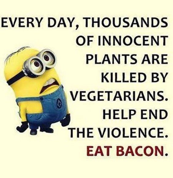 86 Funny Quotes Minions And Minions Quotes Images 25