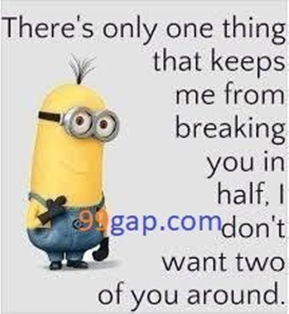 86 Funny Quotes Minions And Minions Quotes Images 39