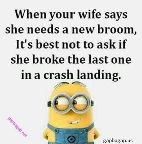86 Funny Quotes Minions And Minions Quotes Images 71