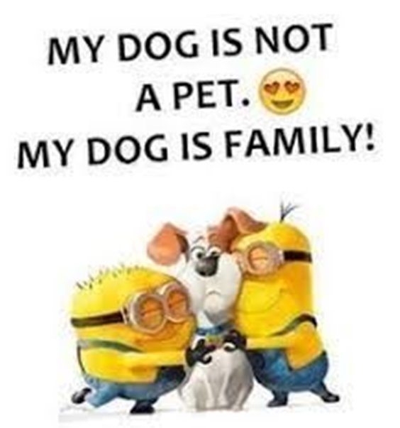 86 Funny Quotes Minions And Minions Quotes Images 75