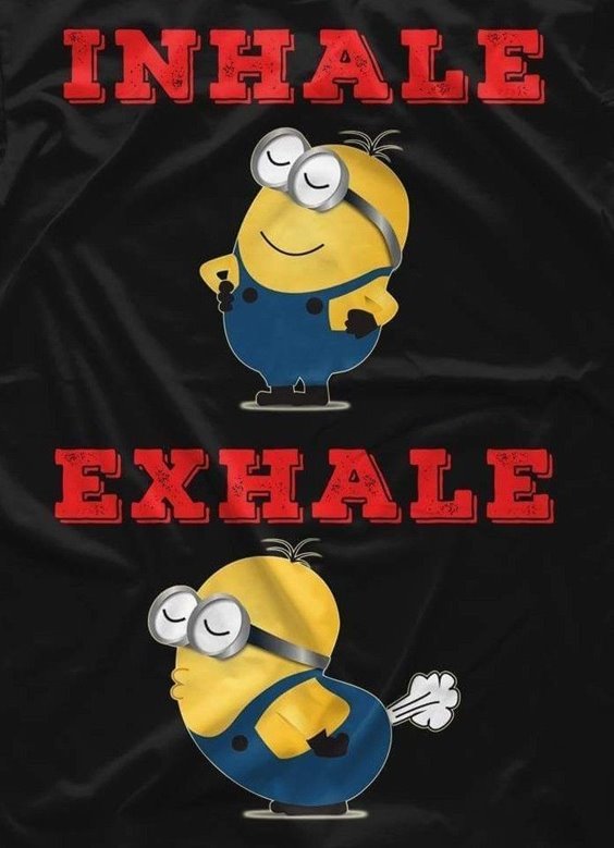 86 Funny Quotes Minions And Minions Quotes Images 85