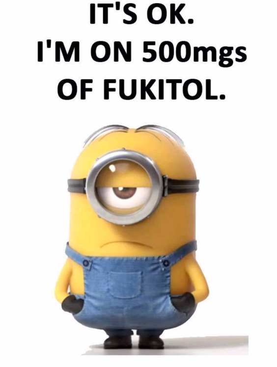 Top 87 Funny Minions Quotes And Funny Pictures 24