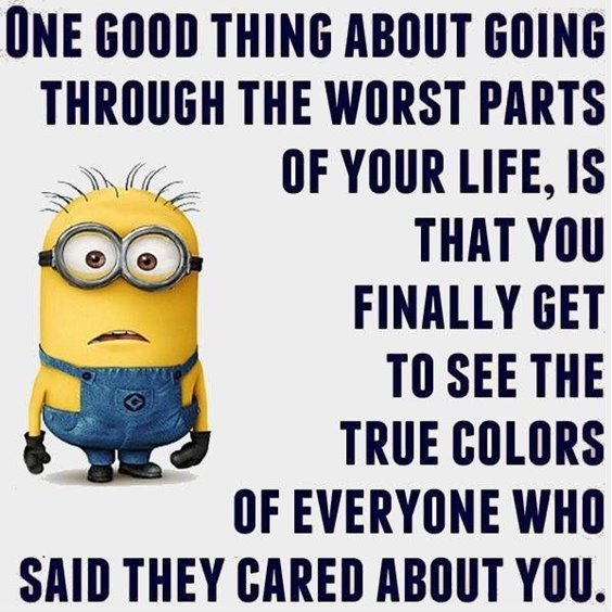 Top 87 Funny Minions Quotes And Funny Pictures 38