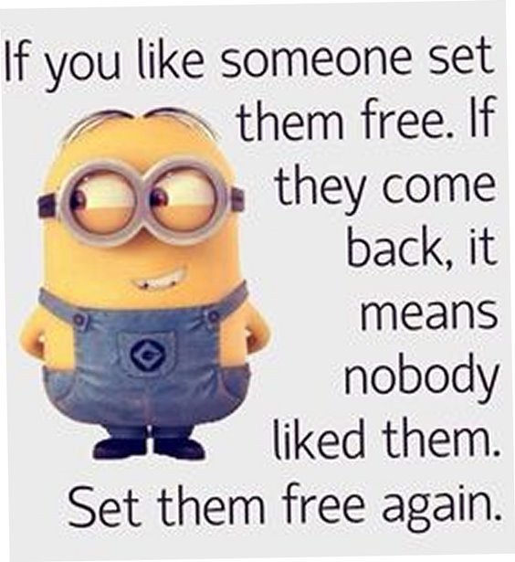Top 87 Funny Minions Quotes And Funny Pictures 39