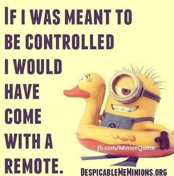 Top 87 Funny Minions Quotes And Funny Pictures 43