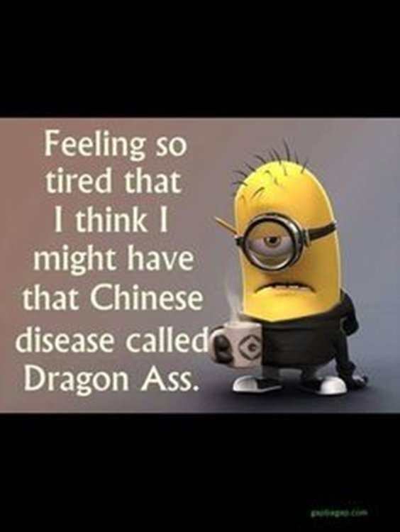 Top 87 Funny Minions Quotes And Funny Pictures 60
