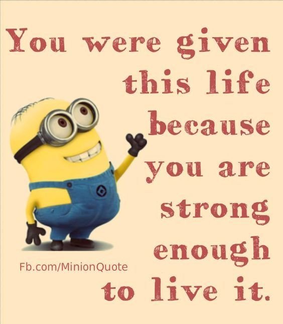 Top 87 Funny Minions Quotes And Funny Pictures 87