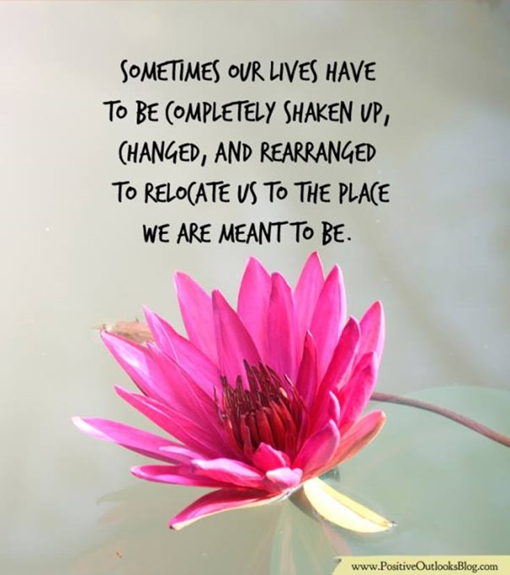 300 Motivational Inspirational Quotes For Success Life 141 300 Motivational Inspirational Quotes For Success Life 141