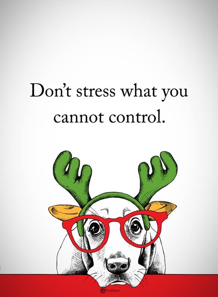 300 Motivational Inspirational Quotes For Success Life 58 300 Motivational Inspirational Quotes For Success Life 58