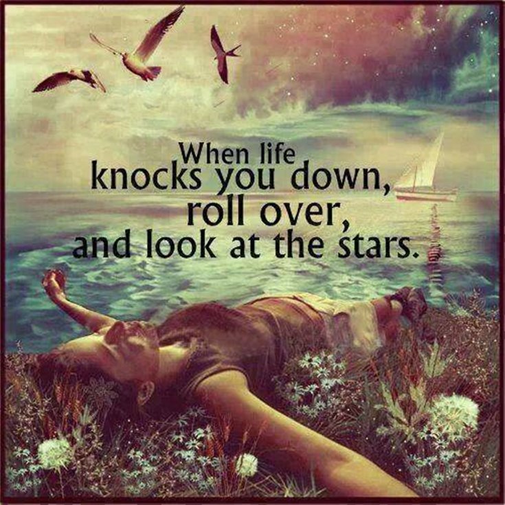 547 Motivational And Inspirational Quotes Truth Quotes Sayings 498 547 Motivational And Inspirational Quotes Truth Quotes Sayings 498