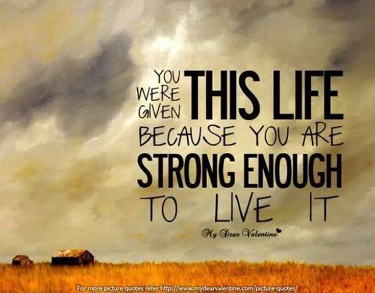 547 Motivational And Inspirational Quotes Truth Quotes Sayings 521 547 Motivational And Inspirational Quotes Truth Quotes Sayings 521