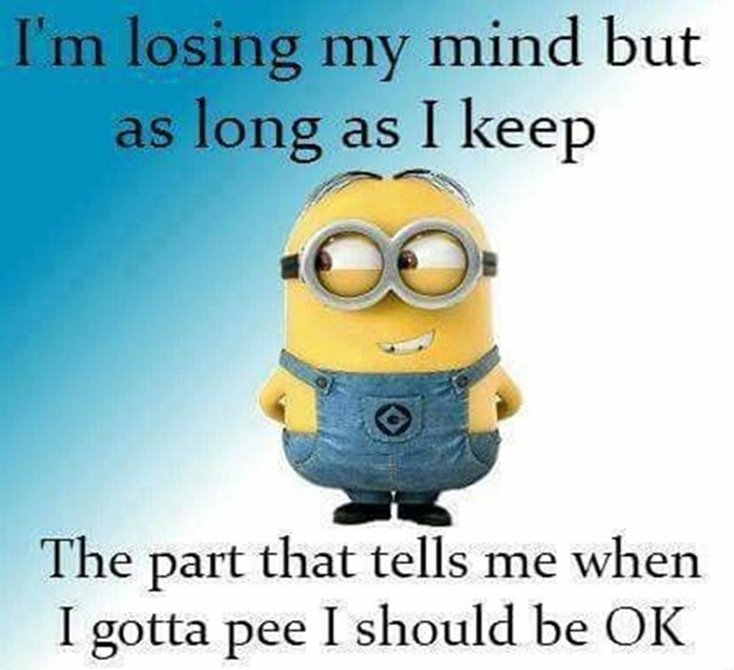 50 Hilariously Funny Minion Quotes With Attitude - Dreams Quote