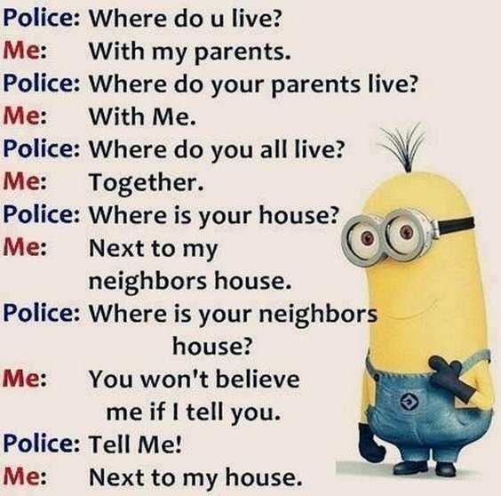 attitude funny minion quotes attitude funny minion quotes