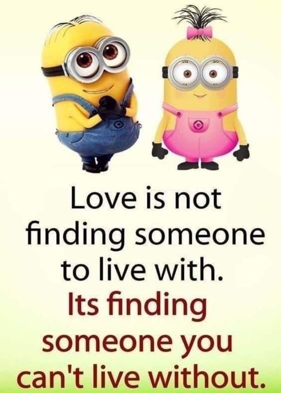 funny minion friday quotes funny minion friday quotes