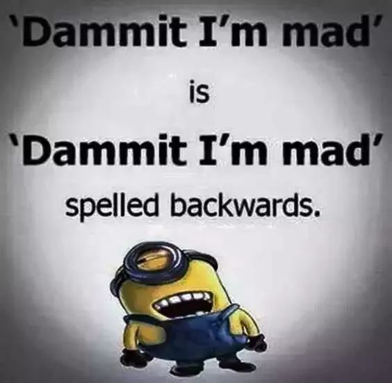funny minion friend quotes funny minion friend quotes