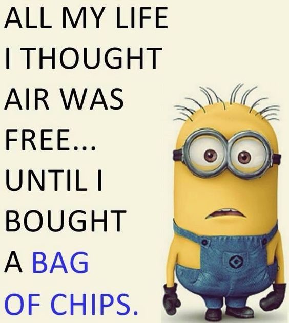 funny minion monday quotes funny minion monday quotes