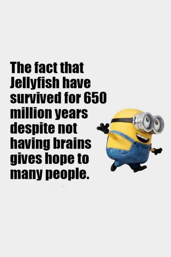funny minion music quotes funny minion music quotes