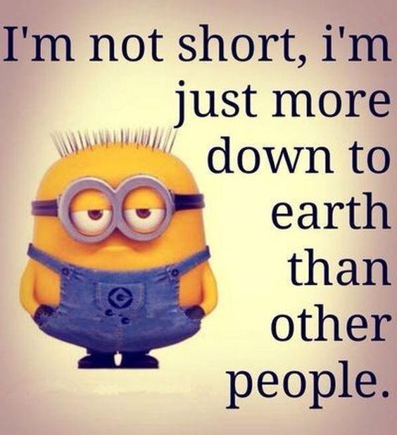 funny minion quotes about school funny minion quotes about school