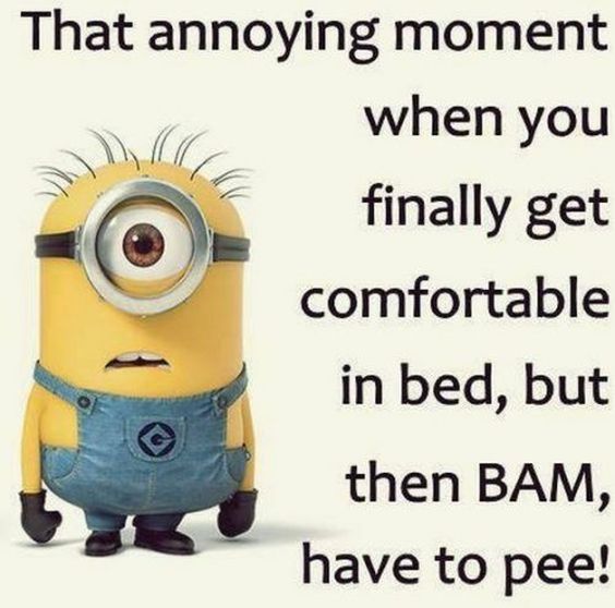 funny minion sayings funny minion sayings