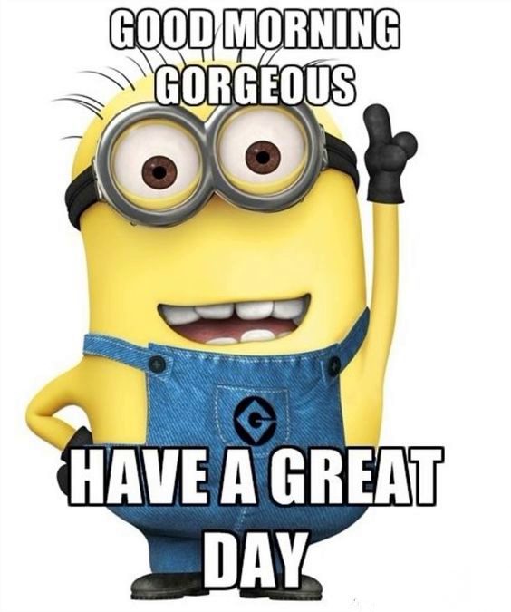 funny quotes minions funny quotes minions