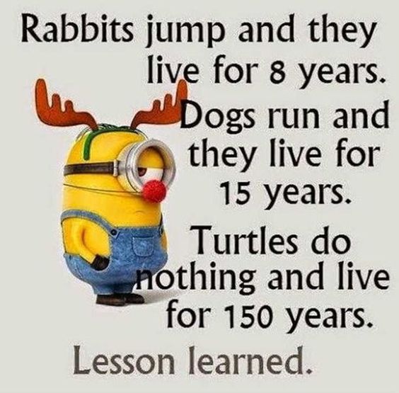 funny thursday minion quotes funny thursday minion quotes