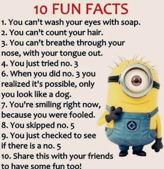 hilariously funny minion attitude quotes hilariously funny minion attitude quotes
