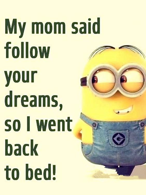 100 Hilariously Funny Minion Quotes With Attitude Dreams Quote 100 Hilariously Funny Minion Quotes With Attitude Dreams Quote