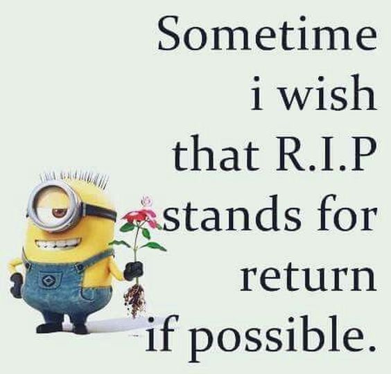 minion best quotes minion best quotes