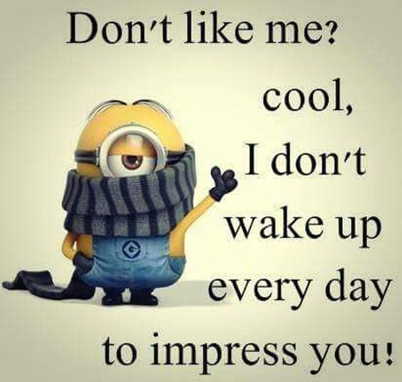 minion chocolate quotes minion chocolate quotes