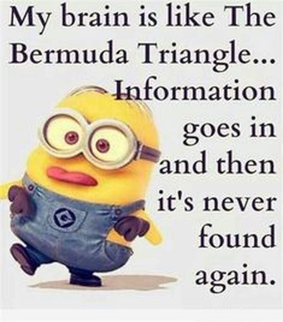 minion funny quotes and sayings minion funny quotes and sayings