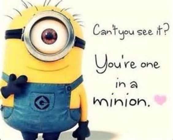 minion quotes about monday minion quotes about monday