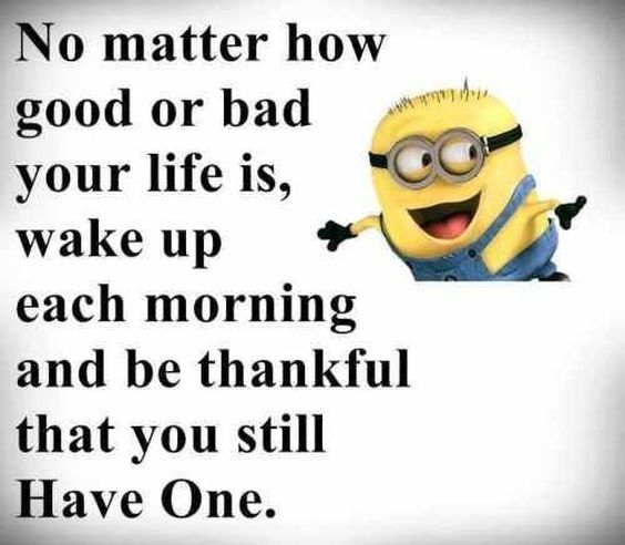 minion quotes birthday minion quotes birthday