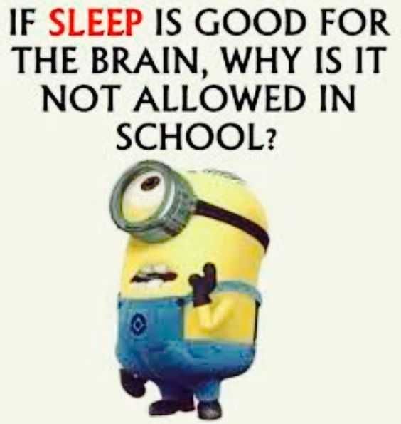 minion quotes from movie minion quotes from movie