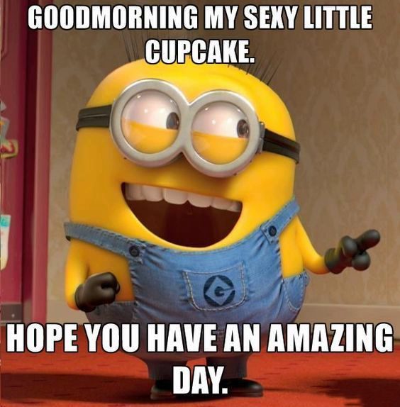 minion quotes work colleagues minion quotes work colleagues