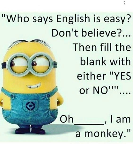 minions funny quotes of the day minions funny quotes of the day