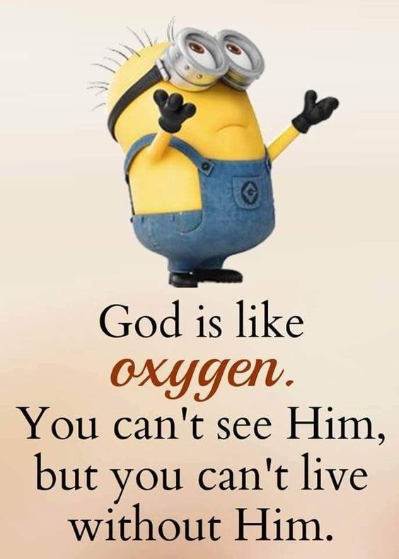 sarcastic minion attitude quotes sarcastic minion attitude quotes