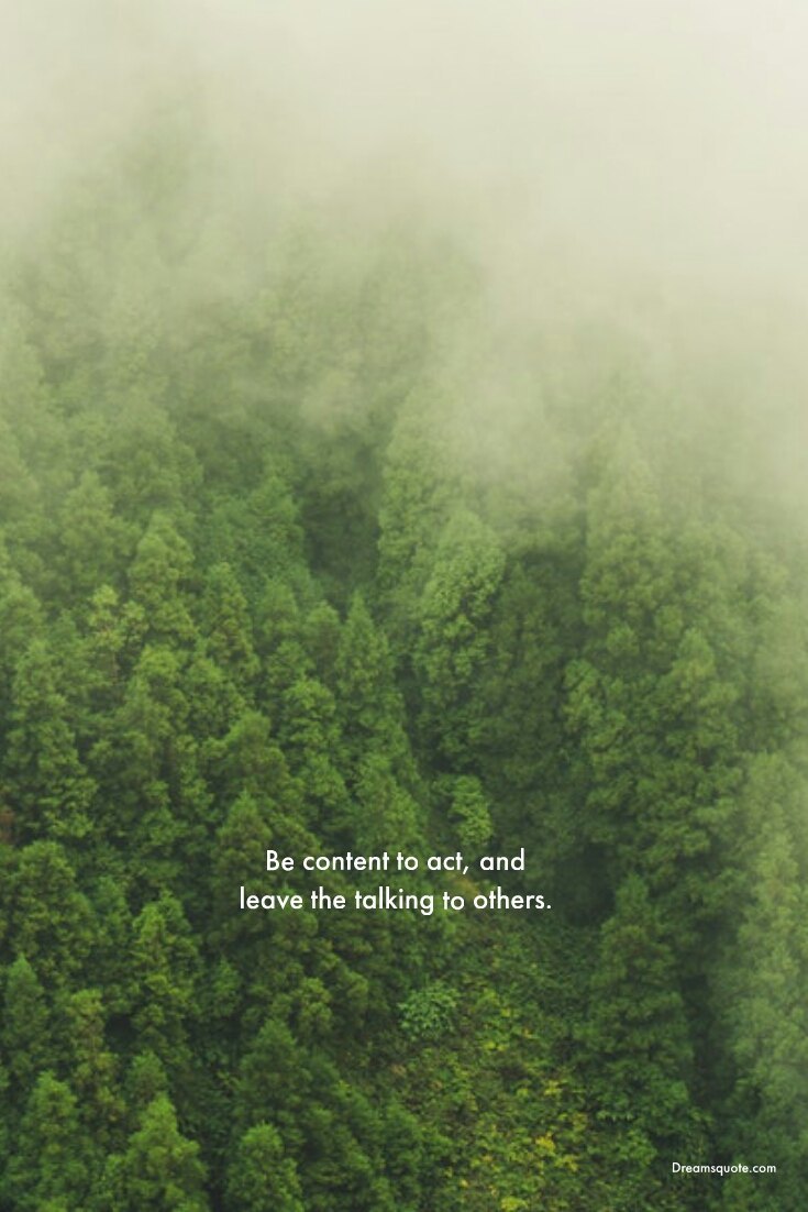 265 Motivational Inspirational Quotes About Life to Succeed 27 265 Motivational Inspirational Quotes About Life to Succeed 27