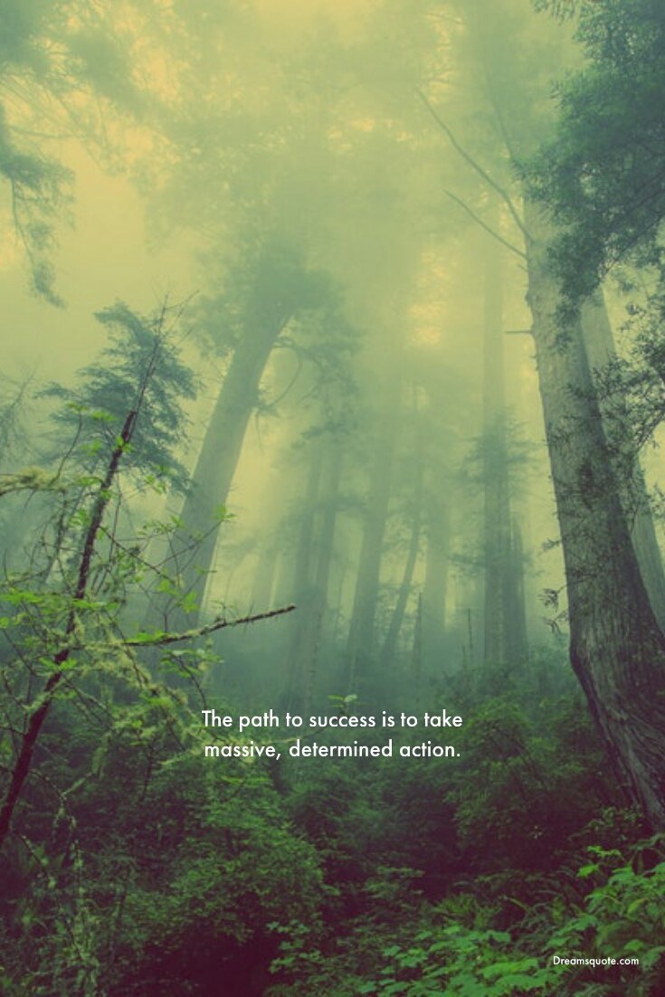 265 Motivational Inspirational Quotes About Life to Succeed 41 265 Motivational Inspirational Quotes About Life to Succeed 41