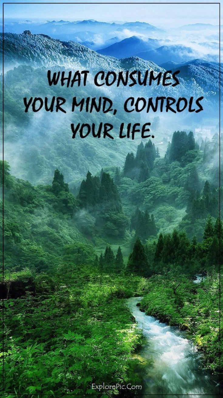 265 Motivational Inspirational Quotes About Life to Succeed 53 265 Motivational Inspirational Quotes About Life to Succeed 53