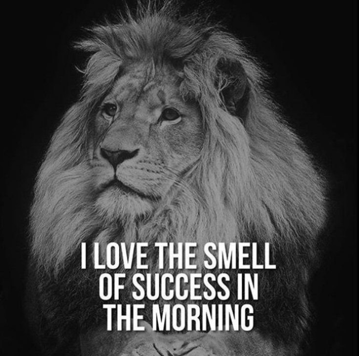 265 Motivational Inspirational Quotes About Life to Succeed 61 265 Motivational Inspirational Quotes About Life to Succeed 61