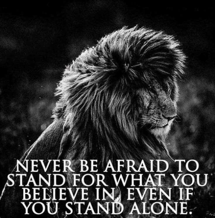 265 Motivational Inspirational Quotes About Life to Succeed 63 265 Motivational Inspirational Quotes About Life to Succeed 63