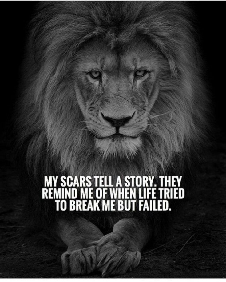 265 Motivational Inspirational Quotes About Life to Succeed 70 265 Motivational Inspirational Quotes About Life to Succeed 70