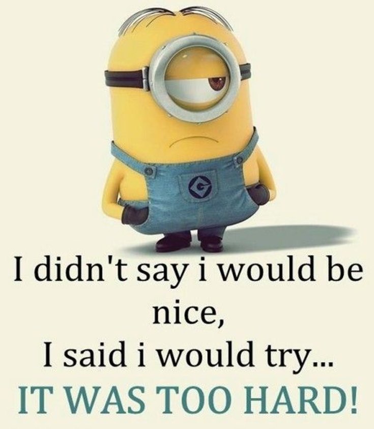 Best 45 Very Funny Minions Quotes of the Week 4