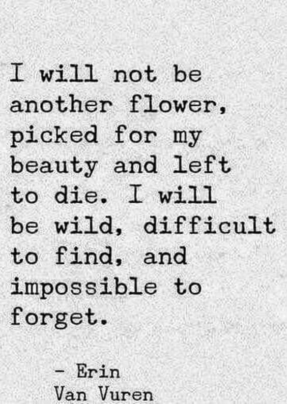 97 Inspirational Quotes That Will Change Your Life 073