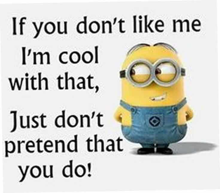 38 Funny Quotes Minions And Minions Quotes Images 11