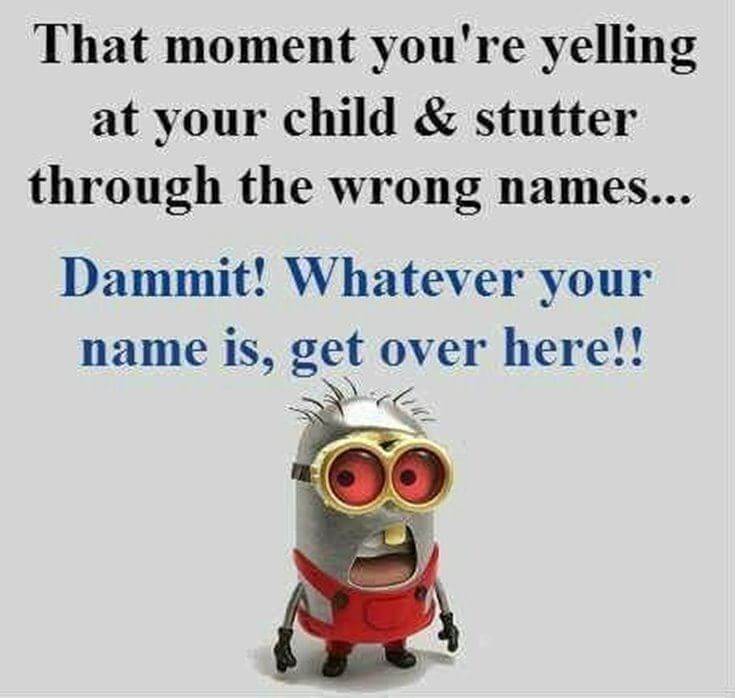 38 Funny Quotes Minions And Minions Quotes Images 26