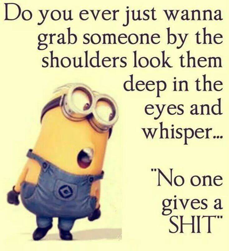 38 Funny Quotes Minions And Minions Quotes Images 31